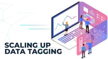 Scaling Your Knowledge: A Information To Knowledge Climber Consulting Providers