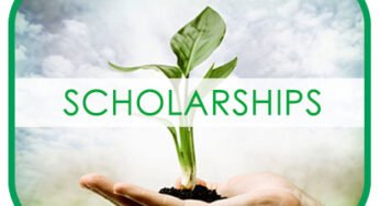 Charting A Inexperienced Future: Prime Scholarships For Environmental Science College students