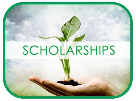 Charting a Green Future: Top Scholarships for Environmental Science Students